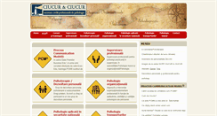 Desktop Screenshot of ciucur.ro